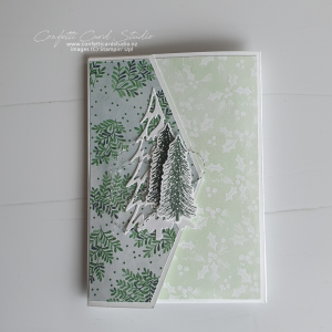 Read more about the article WHIMSICAL CHRISTMAS GIFT CARD HOLDER