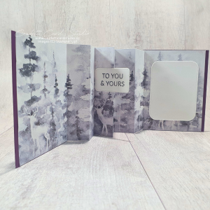 Read more about the article How To Use Bordered DSP for a Pop Out Pleat Surprise Inside Card