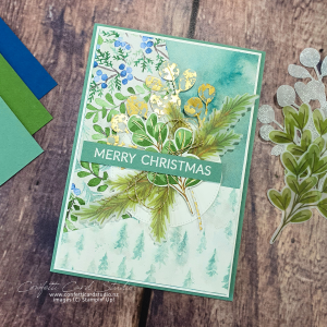 Read more about the article How To Use a Sketch with Winter Meadow DSP