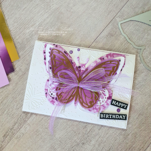 Read more about the article How To Use Beautiful Butterflies Hybrid Embossing Folder