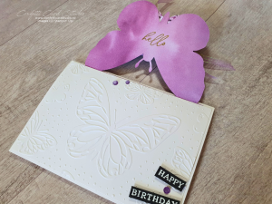 How To Use Beautiful Butterflies Hybrid Embossing Folder - Confetti ...