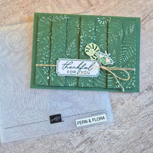 Read more about the article Fern & Flora Double Vision Card